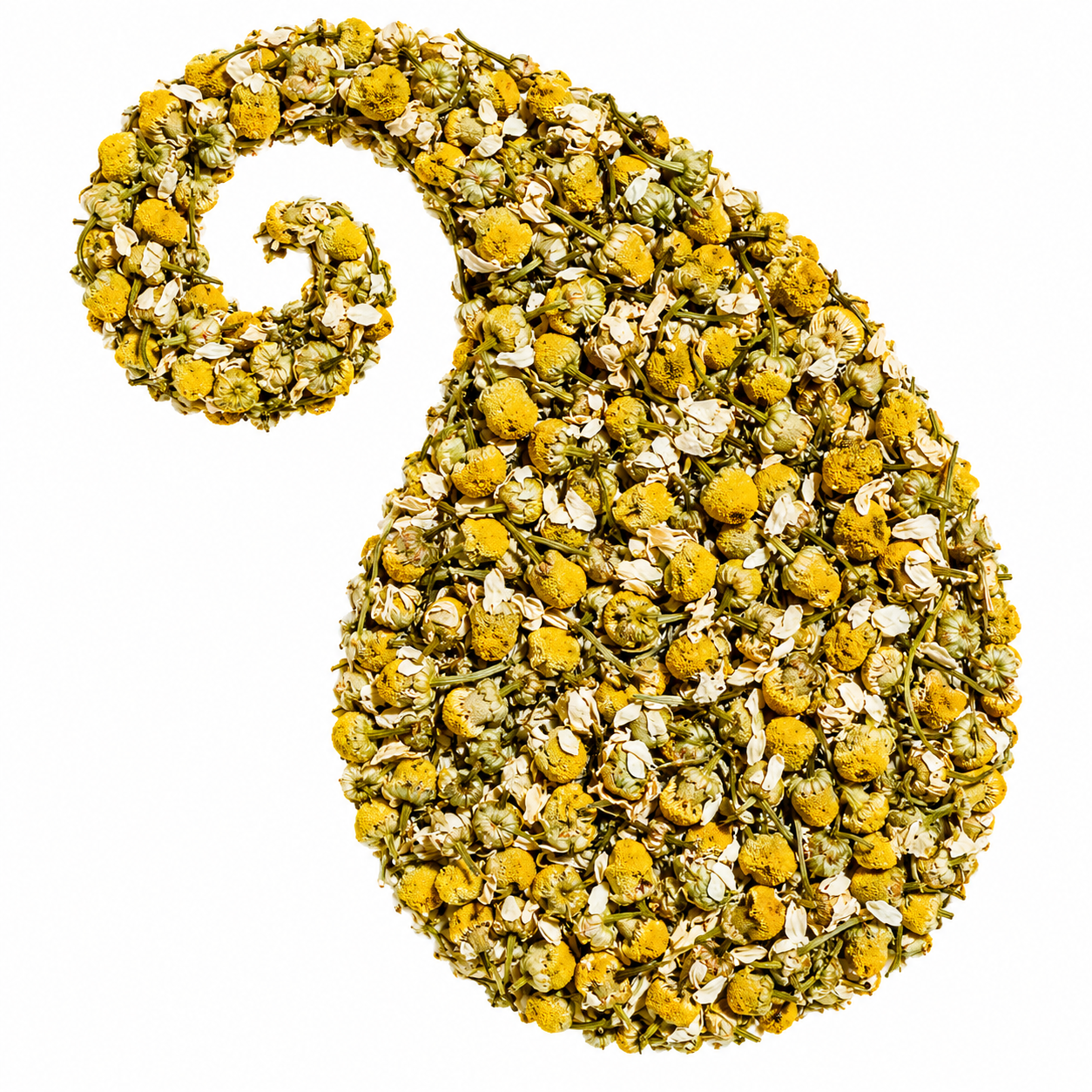 Egyptian Chamomile Herbal Tea